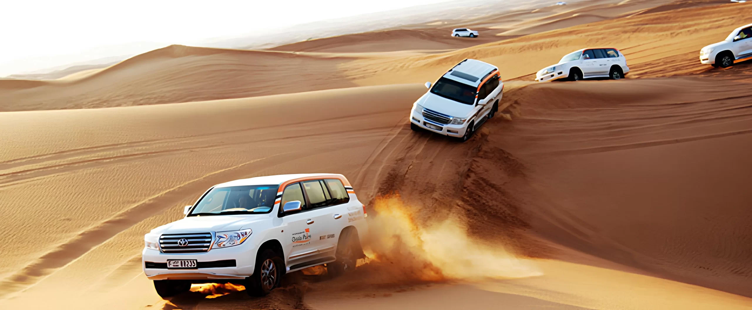 Everything You Should Know About Desert Safari Adventure in Dubai