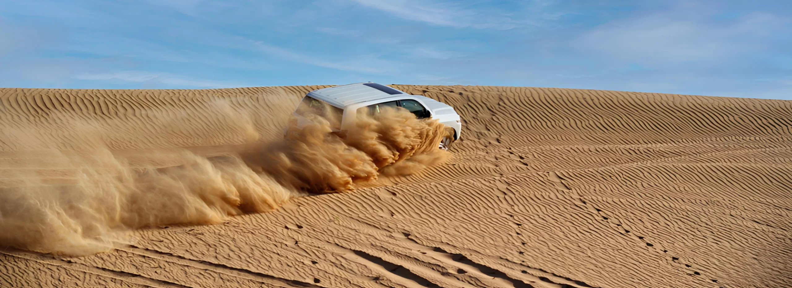 The 5 Desert Safari Activities You Can Do in Dubai