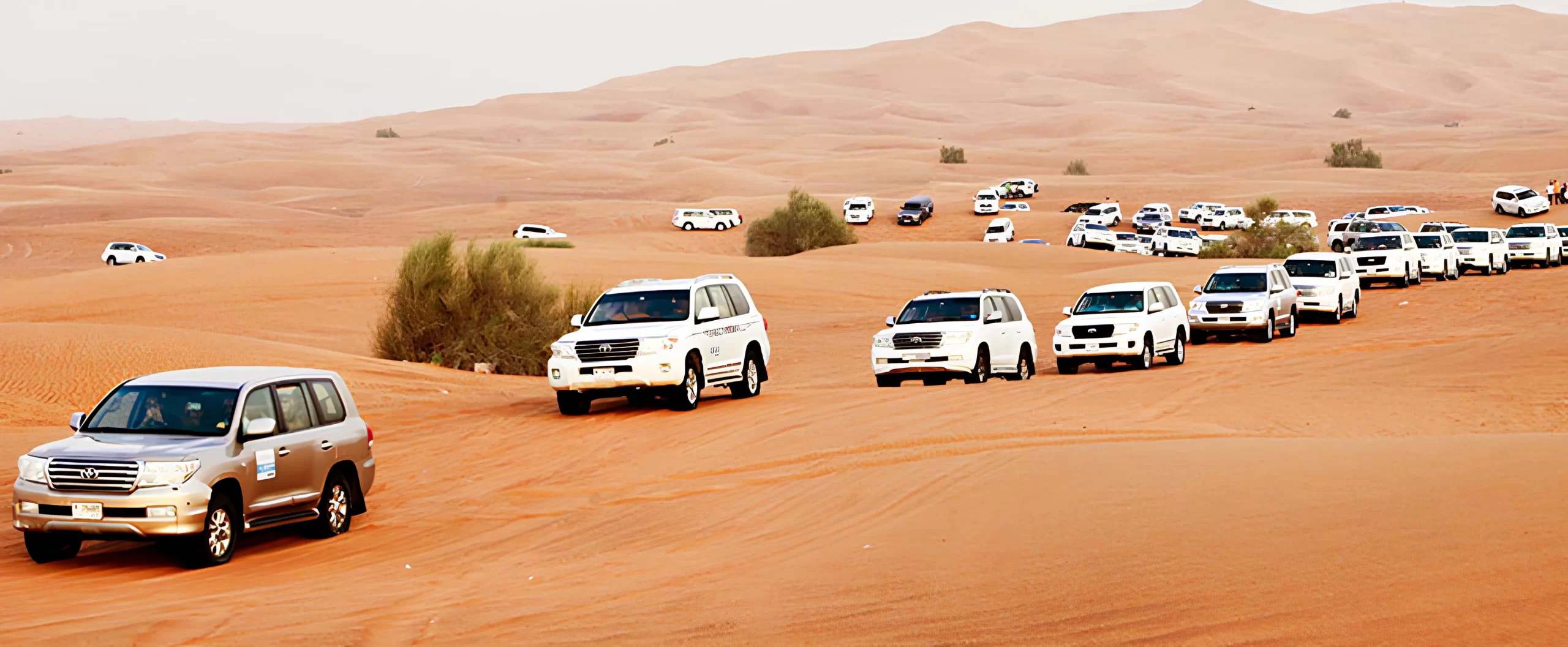 Dubai Desert Safari