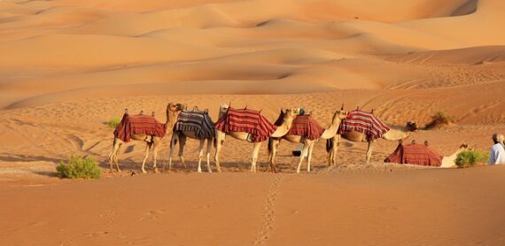 Dubai Desert Safari