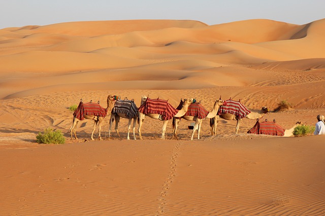 desert safari tour in Dubai