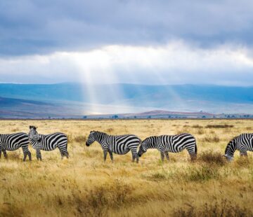 Christmas in Tanzania