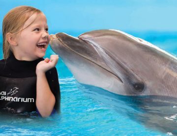 dolphin show dubai