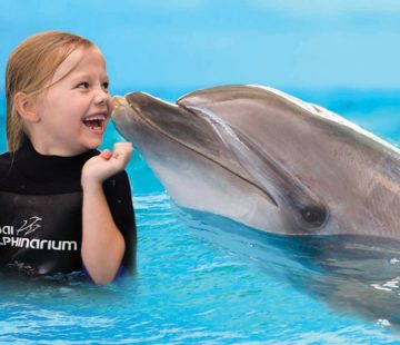 dolphin show dubai